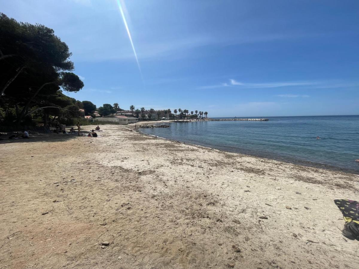 Superbe Studio Avec Terrasse Proximite Plage Saint-Mandrier-sur-Mer Eksteriør billede