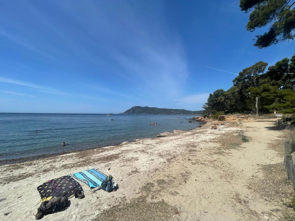 Superbe Studio Avec Terrasse Proximite Plage Saint-Mandrier-sur-Mer Eksteriør billede