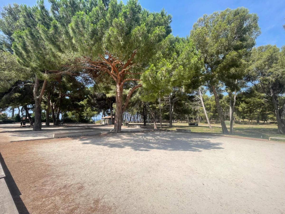 Superbe Studio Avec Terrasse Proximite Plage Saint-Mandrier-sur-Mer Eksteriør billede