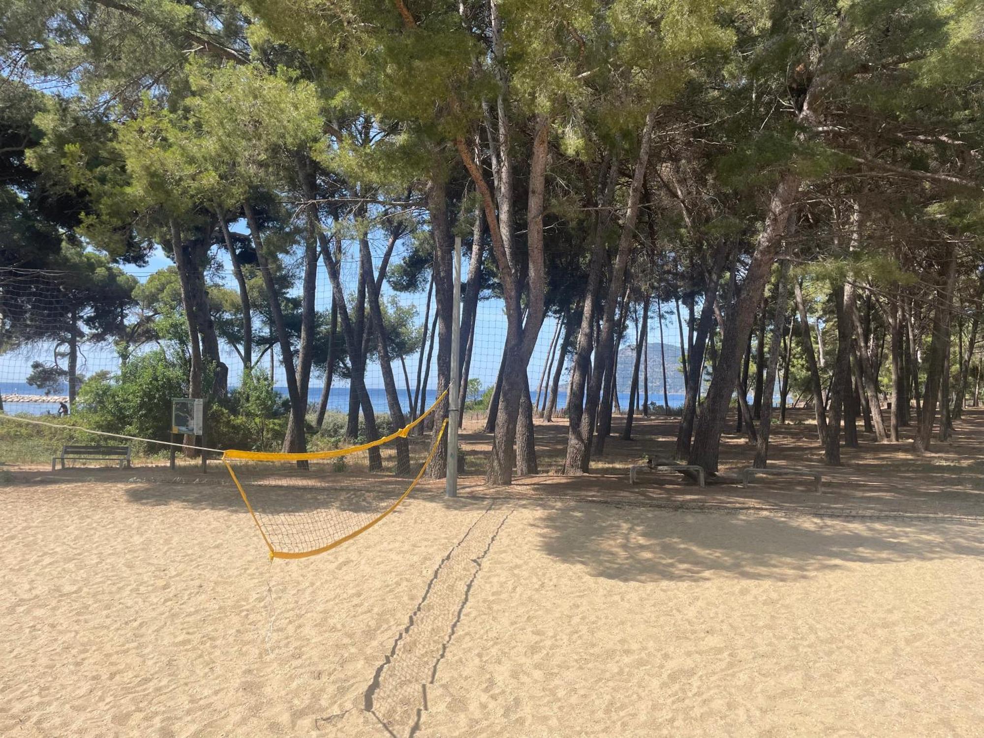 Superbe Studio Avec Terrasse Proximite Plage Saint-Mandrier-sur-Mer Eksteriør billede