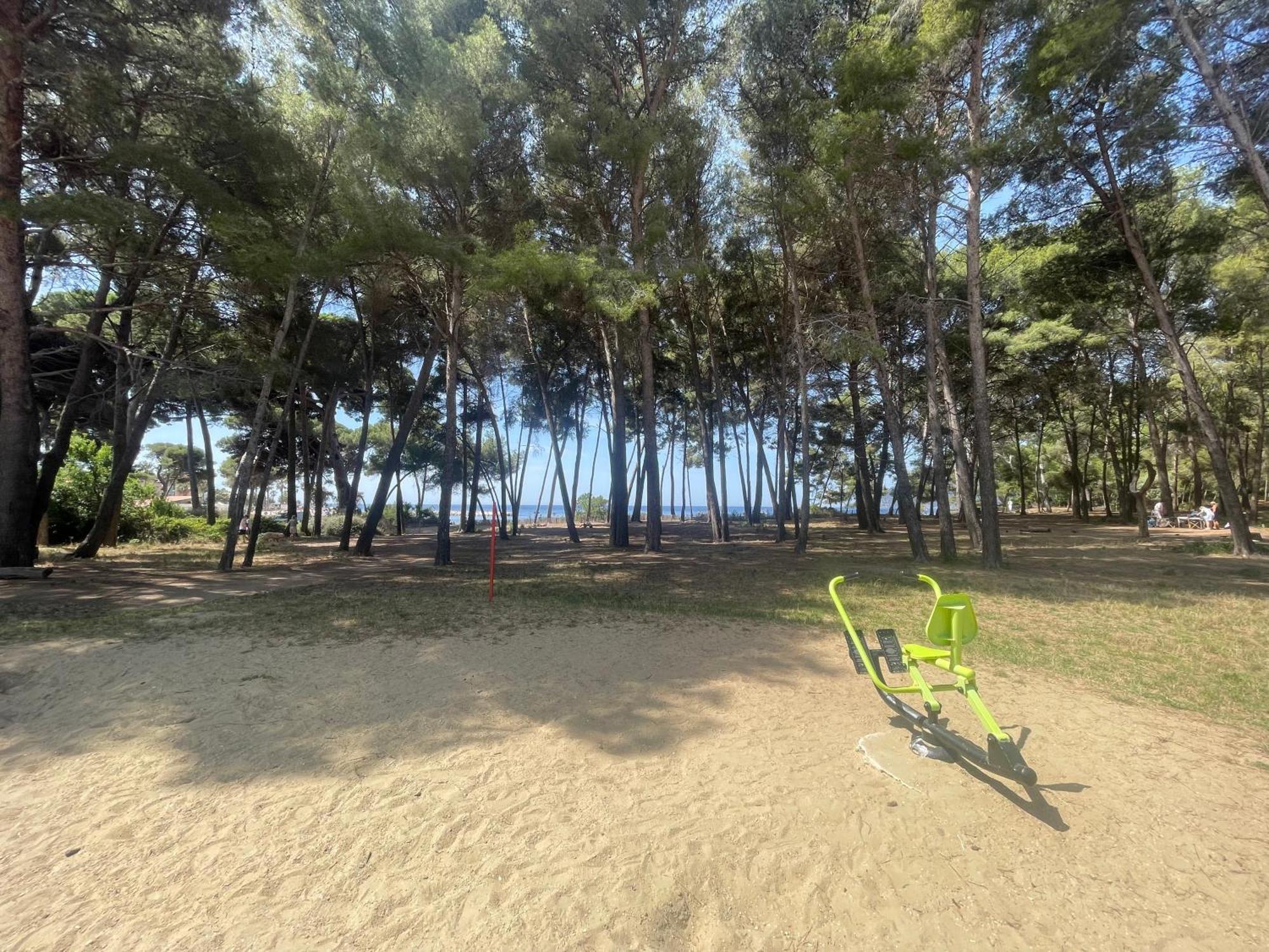 Superbe Studio Avec Terrasse Proximite Plage Saint-Mandrier-sur-Mer Eksteriør billede
