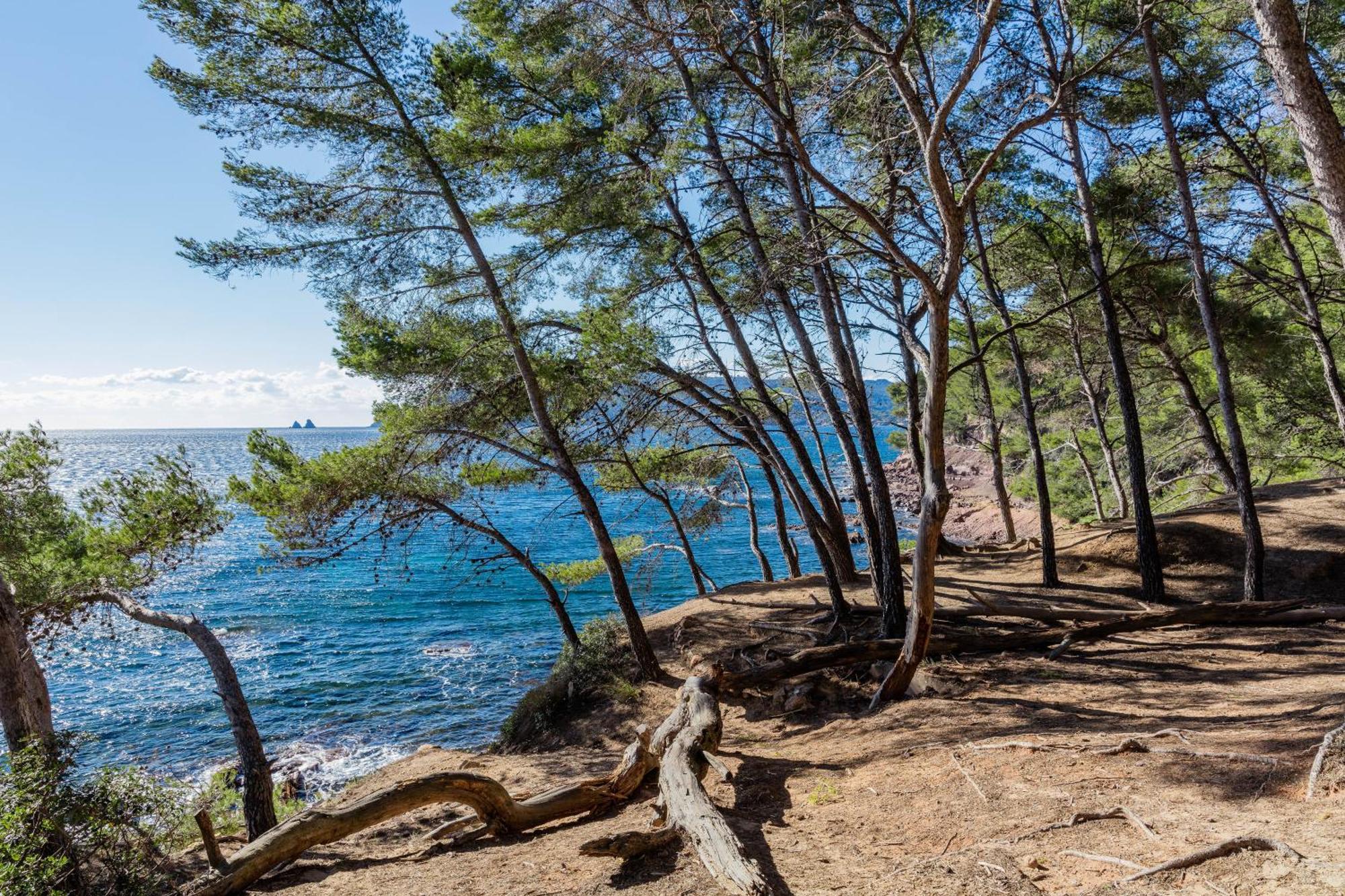 Superbe Studio Avec Terrasse Proximite Plage Saint-Mandrier-sur-Mer Eksteriør billede